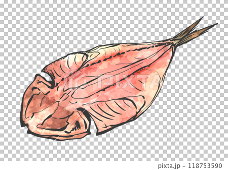 焼く前のアジの開きの手描き筆絵風イラスト 焼く前のアジの開きの手描き筆絵風イラスト 118753590