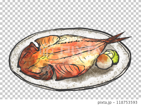 Hand-drawn illustration of horse mackerel fillet Hand-drawn illustration of horse mackerel fillet 118753593