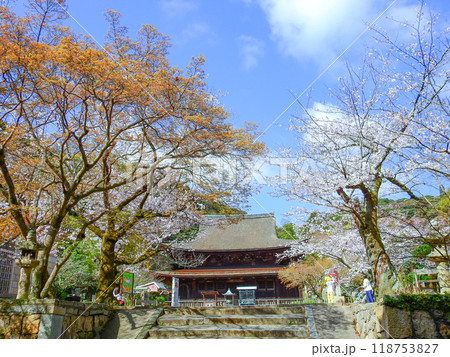 下関市の観光スポット功山寺国宝の仏殿と桜 下関市の観光スポット功山寺国宝の仏殿と桜 118753827
