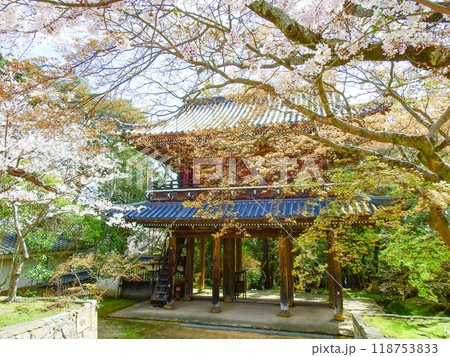 下関市の観光スポット功山寺境内の桜と山門 下関市の観光スポット功山寺境内の桜と山門 118753833