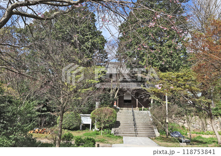 桜咲く下関市長府の黄檗宗覚苑寺境内と本堂 桜咲く下関市長府の黄檗宗覚苑寺境内と本堂 118753841