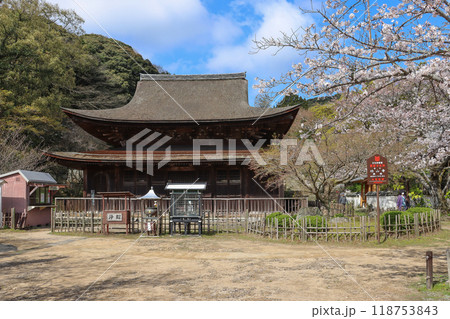 下関市の観光スポット功山寺国宝の仏殿と桜 118753843