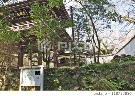 下関市長府の観光スポット功山寺境内の桜と山門 下関市長府の観光スポット功山寺境内の桜と山門 118753850