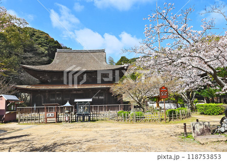 下関市の観光スポット功山寺国宝の仏殿と桜 118753853