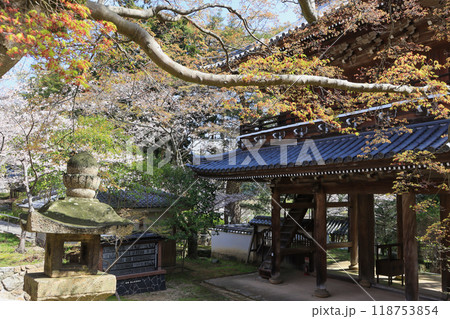 下関市の観光スポット功山寺境内の桜と山門 118753854