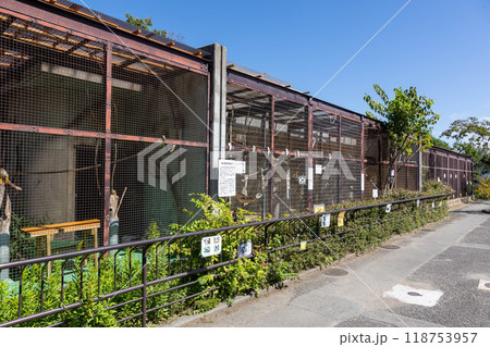 長野市城山動物園 長野市城山公園 長野市城山動物園 長野市城山公園 118753957