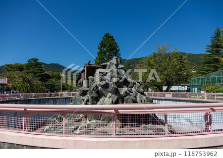 長野市城山動物園　サル山　長野市城山公園 118753962