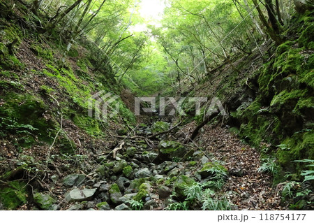 天滝(てんだき)渓谷の登山道を進む 【国定公園・森林浴の森100選】/ 兵庫県養父市大屋町筏 天滝(てんだき)渓谷の登山道を進む 【国定公園・森林浴の森100選】/ 兵庫県養父市大屋町筏 118754177