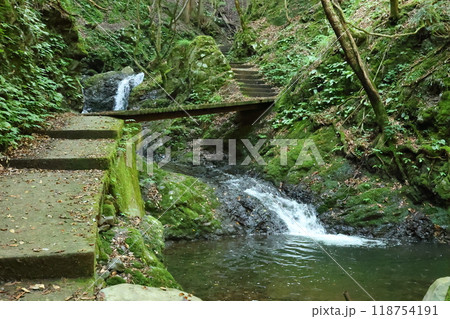 天滝(てんだき)渓谷の登山道を進む 【国定公園・森林浴の森100選】/ 兵庫県養父市大屋町筏 天滝(てんだき)渓谷の登山道を進む 【国定公園・森林浴の森100選】/ 兵庫県養父市大屋町筏 118754191