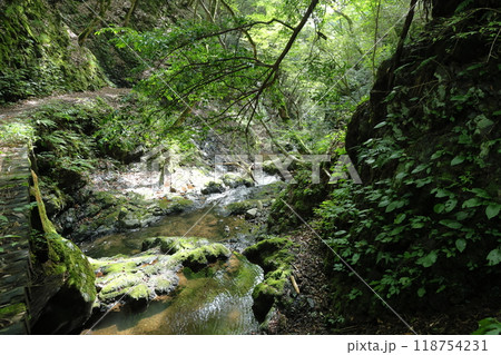天滝(てんだき)渓谷の登山道を進む 【国定公園・森林浴の森100選】/ 兵庫県養父市大屋町筏 天滝(てんだき)渓谷の登山道を進む 【国定公園・森林浴の森100選】/ 兵庫県養父市大屋町筏 118754231