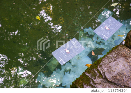 〈島根県〉八重垣神社 鏡の池占い 〈島根県〉八重垣神社 鏡の池占い 118754394