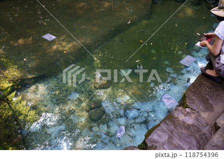 〈島根県〉八重垣神社　鏡の池占い 118754396