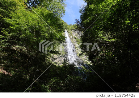 天滝（てんだき） 【日本の滝100選・国定公園】／ 兵庫県養父市大屋町筏  118754428