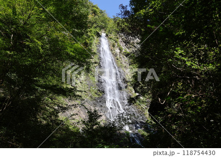 天滝(てんだき) 【日本の滝100選・国定公園】/ 兵庫県養父市大屋町筏 天滝(てんだき) 【日本の滝100選・国定公園】/ 兵庫県養父市大屋町筏 118754430