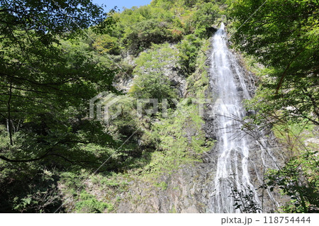 天滝（てんだき） 【日本の滝100選・国定公園】／ 兵庫県養父市大屋町筏  118754444