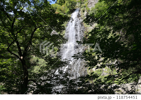 天滝(てんだき) 【日本の滝100選・国定公園】/ 兵庫県養父市大屋町筏 天滝(てんだき) 【日本の滝100選・国定公園】/ 兵庫県養父市大屋町筏 118754451