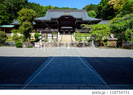 新緑に包まれた近江神宮の拝殿 新緑に包まれた近江神宮の拝殿 118754731