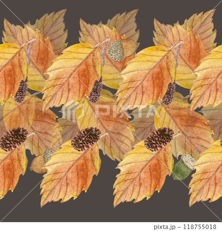 Orange leafs with alder cones and acorns hand painted watercolor seamless border on dark background. High quality art in simple style for woodland designs, scrap paper, printing, textile, stationary Orange leafs with alder cones and acorns hand painted watercolor seamless border on dark background. High quality art in simple style for woodland designs, scrap paper, printing, textile, stationary 118755018