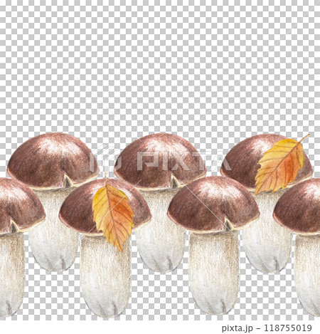 Porcini mushroom with bright autumn leaf seamless border in pencils and watercolor isolated on white. High quality hand painted plant design element perfect for textile, banners, stationary, decor 118755019