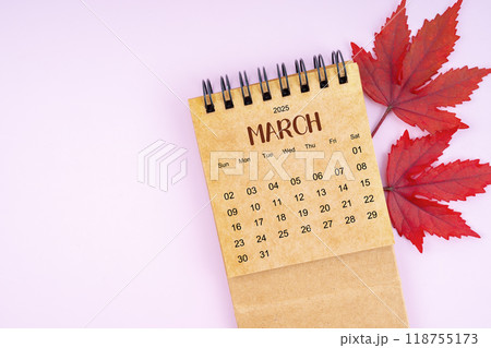 March 2025 monthly calendar and fall leaves on pink color background. 118755173