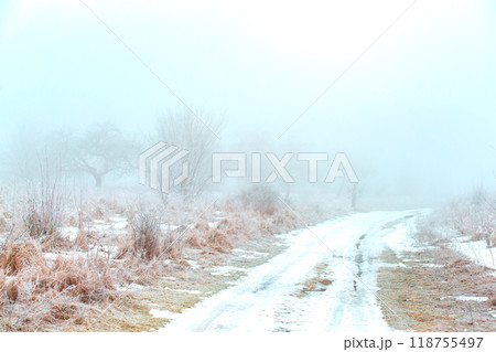 winter landscape. hoarfrost on plants in the field. strong frost 118755497