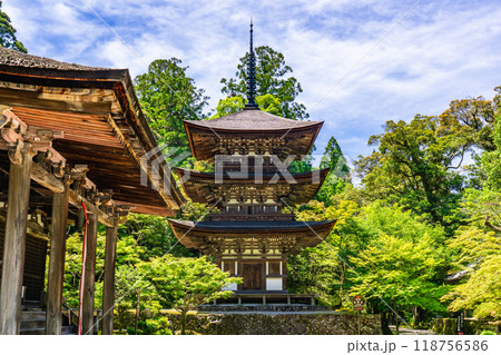 滋賀県犬上郡甲良町　西明寺（湖東三山）　三重塔（国宝） 118756586