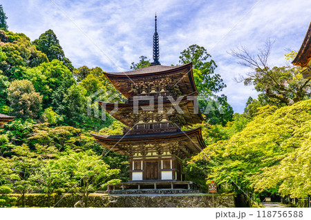 滋賀県犬上郡甲良町 西明寺(湖東三山) 三重塔(国宝) 滋賀県犬上郡甲良町 西明寺(湖東三山) 三重塔(国宝) 118756588