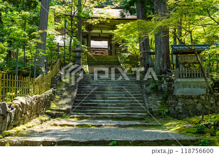 滋賀県犬上郡甲良町 西明寺(湖東三山) 二天門(重要文化財)と夫婦杉 滋賀県犬上郡甲良町 西明寺(湖東三山) 二天門(重要文化財)と夫婦杉 118756600