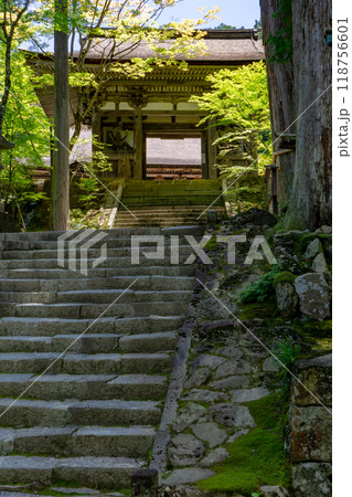 滋賀県犬上郡甲良町　西明寺（湖東三山）　二天門（重要文化財） 118756601