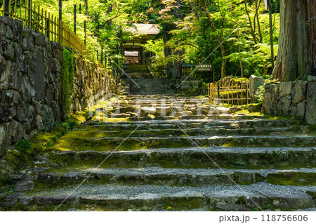 滋賀県犬上郡甲良町 西明寺(湖東三山) 二天門(重要文化財) 滋賀県犬上郡甲良町 西明寺(湖東三山) 二天門(重要文化財) 118756606