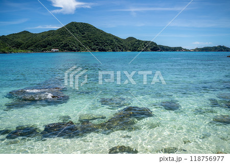 渡嘉敷島の美しい阿波連ビーチ 渡嘉敷島の美しい阿波連ビーチ 118756977
