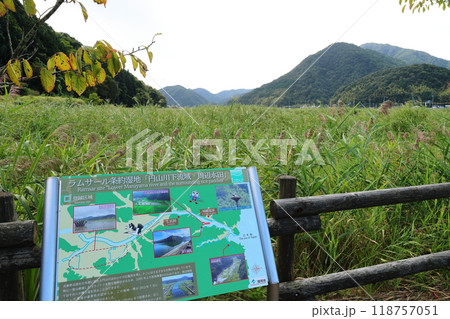 豊岡市立ハチゴロウの戸島湿地 【ラムサール条約登録湿地】 / 兵庫県豊岡市城崎町 豊岡市立ハチゴロウの戸島湿地 【ラムサール条約登録湿地】 / 兵庫県豊岡市城崎町 118757051