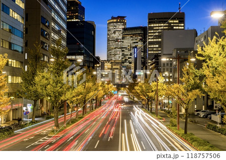 名古屋市、桜通りのイチョウ並木と名古屋駅のビル群の夜景 118757506