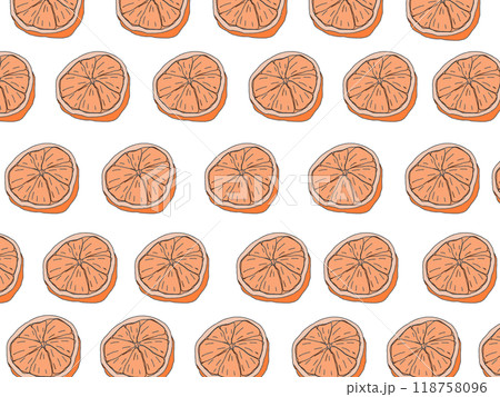 鉛筆画風のみかんのカラーイラストのパターン 118758096