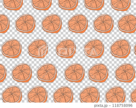 鉛筆画風のみかんのカラーイラストのパターン 118758096