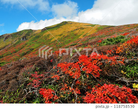 宮城県&秋田県&岩手県・紅葉の栗駒山(2015年) 宮城県&秋田県&岩手県・紅葉の栗駒山(2015年) 118758530