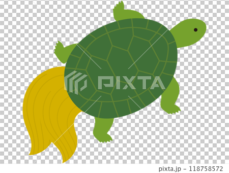 亀は万年　イラスト 118758572