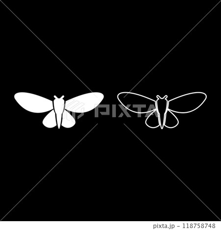 Moth butterfly clothing set icon white color vector illustration image solid fill outline contour line thin flat style 118758748
