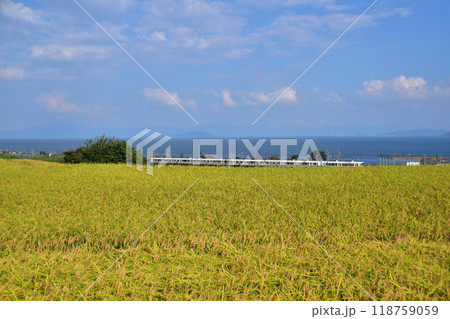 滋賀県高島市鵜川の棚田と琵琶湖とJR湖西線の電車 滋賀県高島市鵜川の棚田と琵琶湖とJR湖西線の電車 118759059