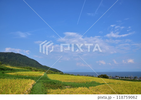 滋賀県高島市鵜川の棚田と琵琶湖 滋賀県高島市鵜川の棚田と琵琶湖 118759062