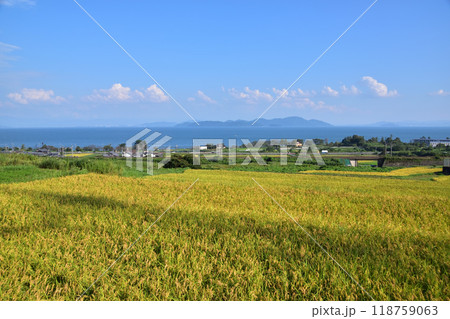 滋賀県高島市鵜川の棚田と琵琶湖 滋賀県高島市鵜川の棚田と琵琶湖 118759063