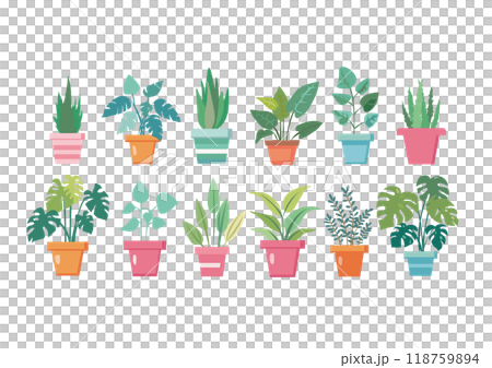 Illustration set of foliage plants 118759894