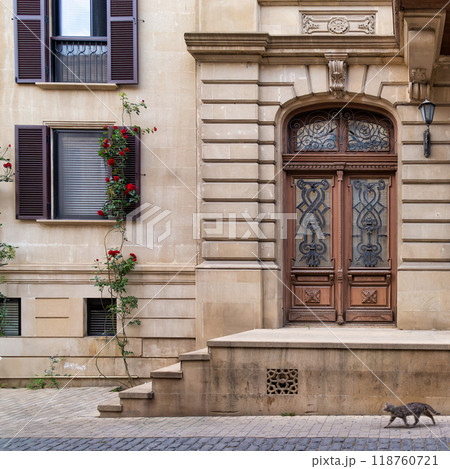 Elegant historic building facade with ornate door and climbing roses in an urban setting during daylight hours Elegant historic building facade with ornate door and climbing roses in an urban setting during daylight hours 118760721