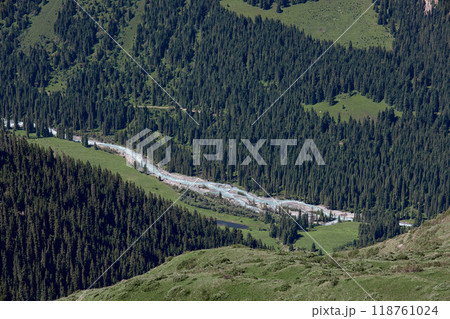 River valley surrounded by hills, green grass and pine forest 118761024