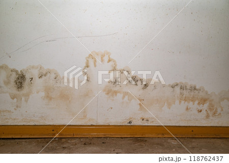 Flooding rainwater or floor heating systems, causing damage, peeling paint and mildew 118762437