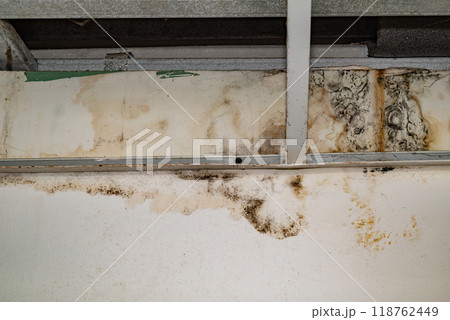 Flooding rainwater or floor heating systems, causing damage, peeling paint and mildew 118762449