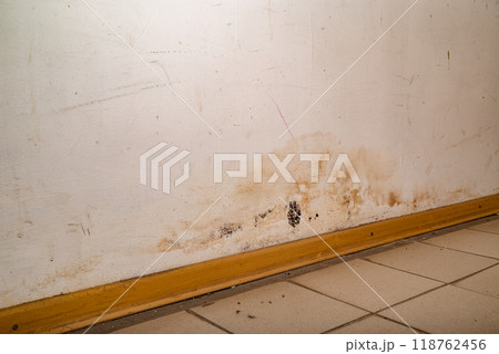 Flooding rainwater or floor heating systems, causing damage, peeling paint and mildew 118762456