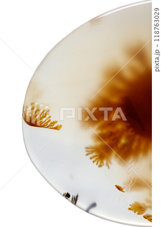 macro mineral stone Agata muschiata on a white background 118763029