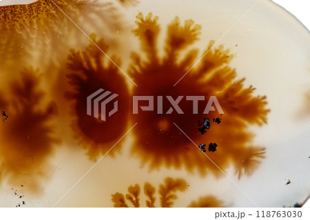macro mineral stone Agata muschiata on a white background macro mineral stone Agata muschiata on a white background 118763030