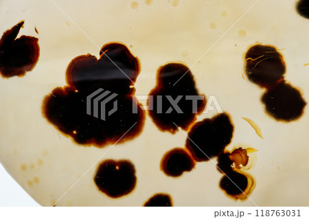 macro mineral stone Agata muschiata on a white background macro mineral stone Agata muschiata on a white background 118763031